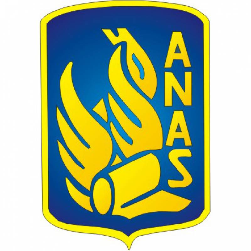 Anas Logo